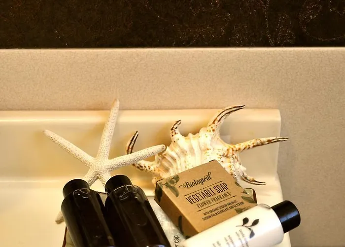 ホテル Etruria フォルテ・デイ・マルミ